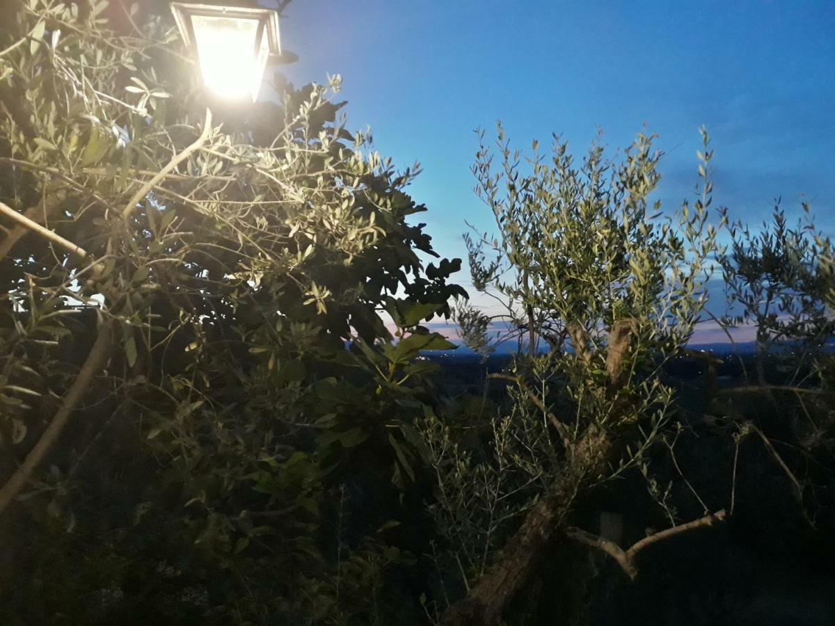 Tenuta Colverano 蒙特法尔科 外观 照片